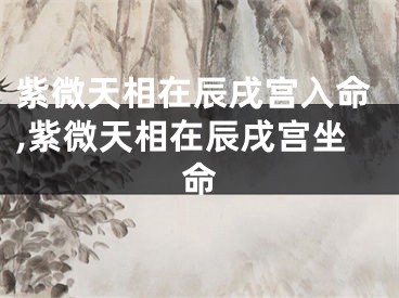 紫微天相在辰戌宫入命,紫微天相在辰戌宫坐命