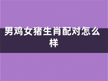 男鸡女猪生肖配对怎么样