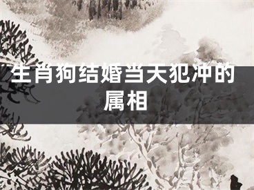 生肖狗结婚当天犯冲的属相