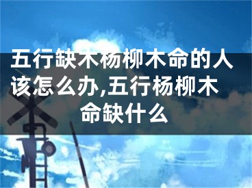 五行缺木杨柳木命的人该怎么办,五行杨柳木命缺什么