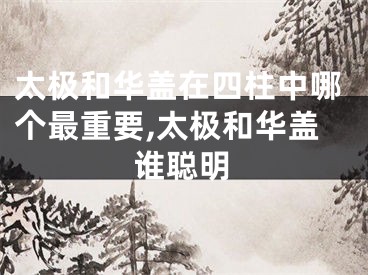 太极和华盖在四柱中哪个最重要,太极和华盖谁聪明