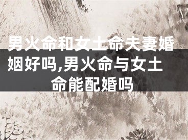 男火命和女土命夫妻婚姻好吗,男火命与女土命能配婚吗