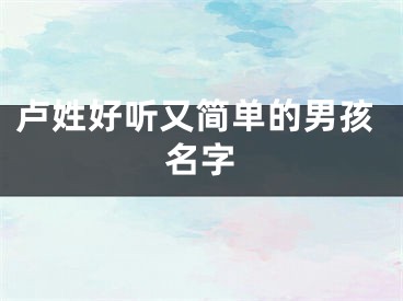卢姓好听又简单的男孩名字