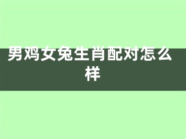 男鸡女兔生肖配对怎么样