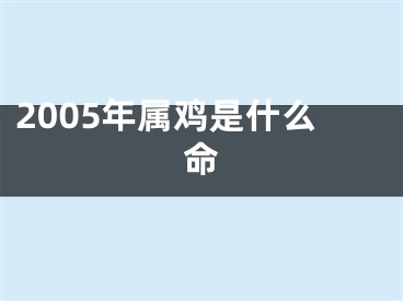 2005年属鸡是什么命