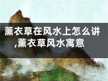 薰衣草在风水上怎么讲,薰衣草风水寓意