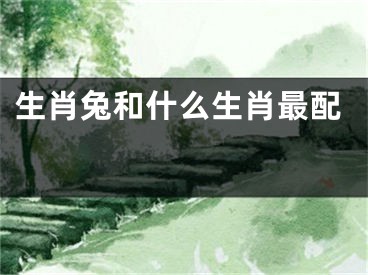 生肖兔和什么生肖最配 