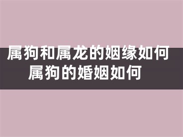 属狗和属龙的姻缘如何 属狗的婚姻如何