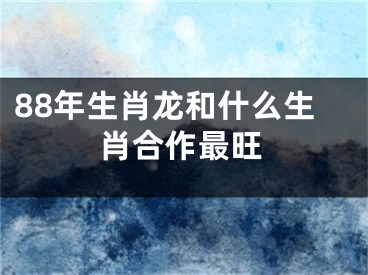 88年生肖龙和什么生肖合作最旺
