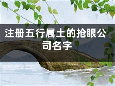 注册五行属土的抢眼公司名字
