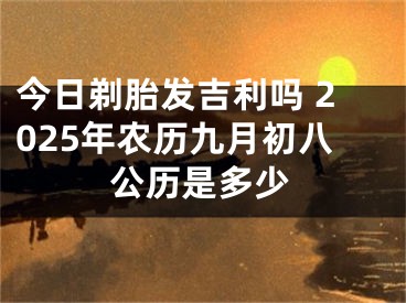 今日剃胎发吉利吗 2025年农历九月初八公历是多少