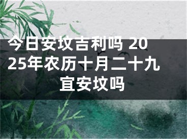 今日安坟吉利吗 2025年农历十月二十九宜安坟吗