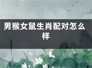 男猴女鼠生肖配对怎么样