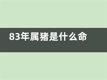 83年属猪是什么命