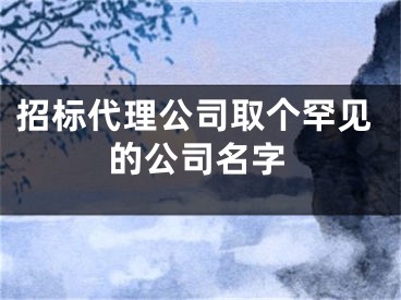 招标代理公司取个罕见的公司名字