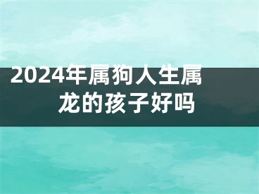 2024年属狗人生属龙的孩子好吗