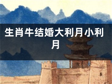 生肖牛结婚大利月小利月