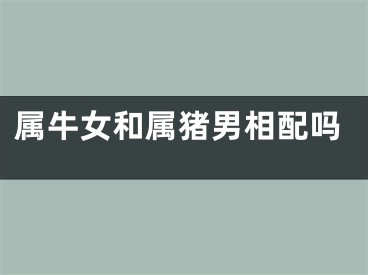 属牛女和属猪男相配吗