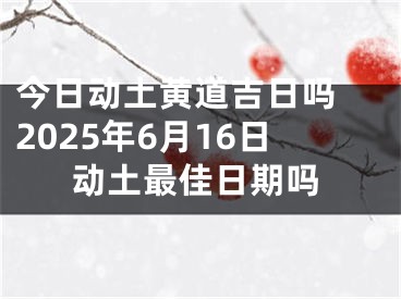 今日动土黄道吉日吗 2025年6月16日动土最佳日期吗