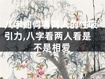 八字如何看两人的性吸引力,八字看两人看是不是相爱