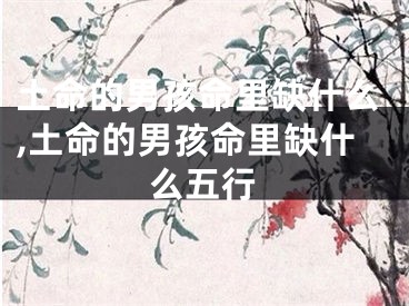土命的男孩命里缺什么,土命的男孩命里缺什么五行