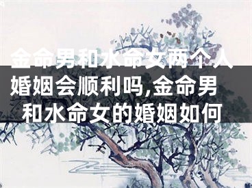 金命男和水命女两个人婚姻会顺利吗,金命男和水命女的婚姻如何