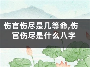 伤官伤尽是几等命,伤官伤尽是什么八字