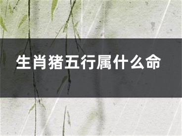 生肖猪五行属什么命