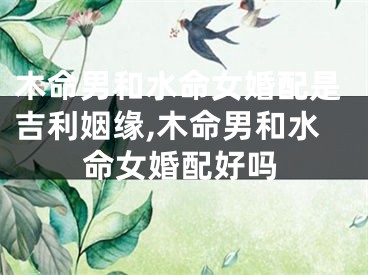 木命男和水命女婚配是吉利姻缘,木命男和水命女婚配好吗