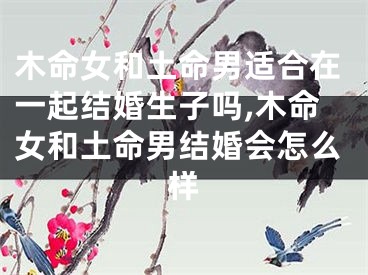 木命女和土命男适合在一起结婚生子吗,木命女和土命男结婚会怎么样