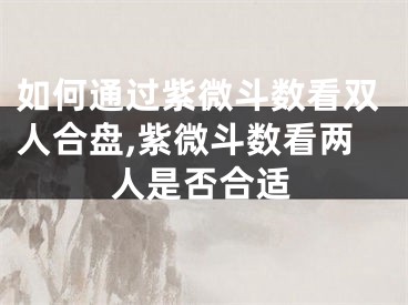 如何通过紫微斗数看双人合盘,紫微斗数看两人是否合适