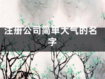 注册公司简单大气的名字