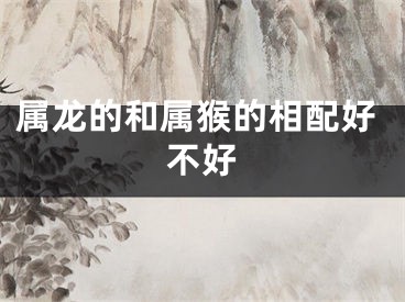 属龙的和属猴的相配好不好