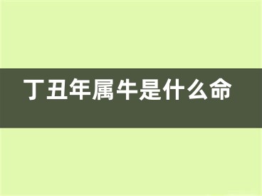 丁丑年属牛是什么命