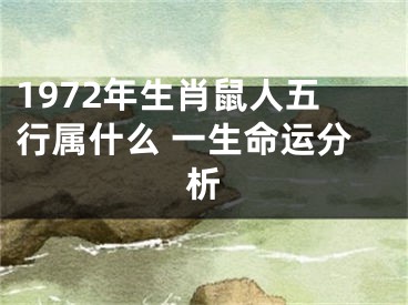 1972年生肖鼠人五行属什么 一生命运分析