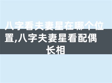 八字看夫妻星在哪个位置,八字夫妻星看配偶长相