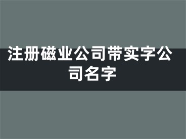 注册磁业公司带实字公司名字