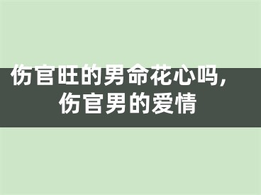 伤官旺的男命花心吗,伤官男的爱情