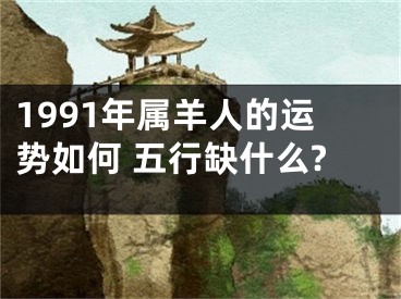 1991年属羊人的运势如何 五行缺什么?