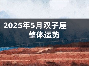 2025年5月双子座整体运势