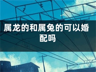 属龙的和属兔的可以婚配吗