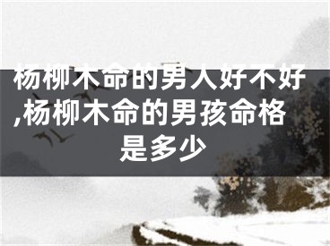 杨柳木命的男人好不好,杨柳木命的男孩命格是多少