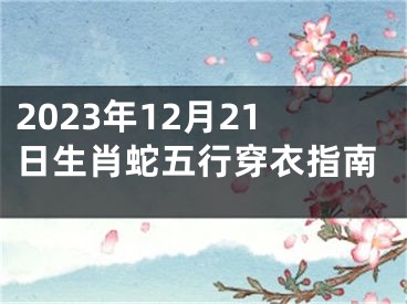 2023年12月21日生肖蛇五行穿衣指南