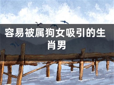 容易被属狗女吸引的生肖男