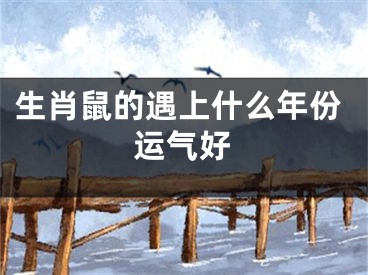 生肖鼠的遇上什么年份运气好