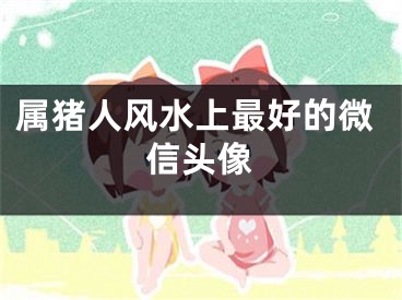 属猪人风水上最好的微信头像