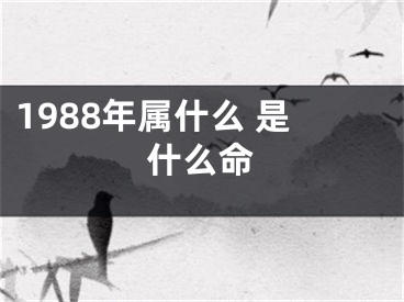 1988年属什么 是什么命