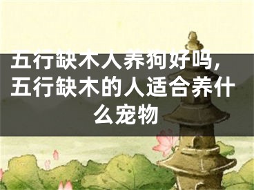 五行缺木人养狗好吗,五行缺木的人适合养什么宠物