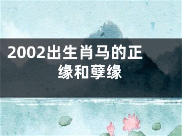 2002出生肖马的正缘和孽缘