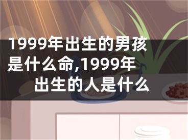 1999年出生的男孩是什么命,1999年出生的人是什么
